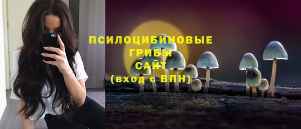 герыч Зеленодольск